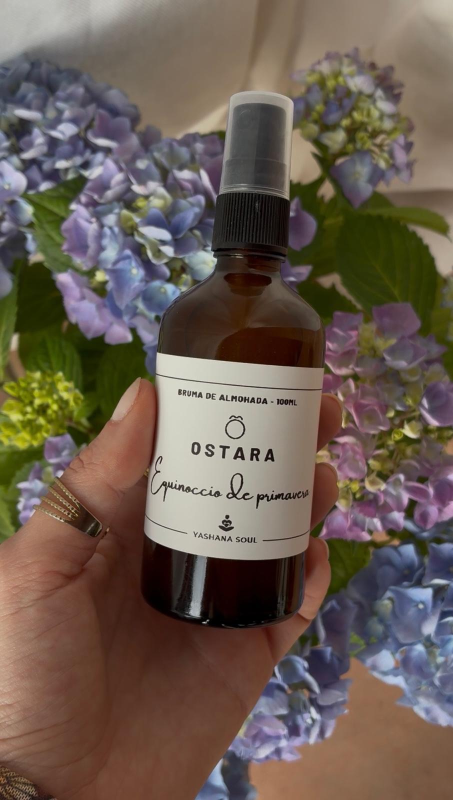 Caja Ostara - Imagen 3