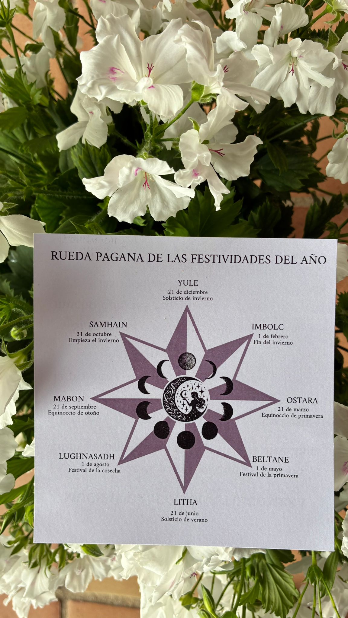 Caja Ostara - Imagen 12