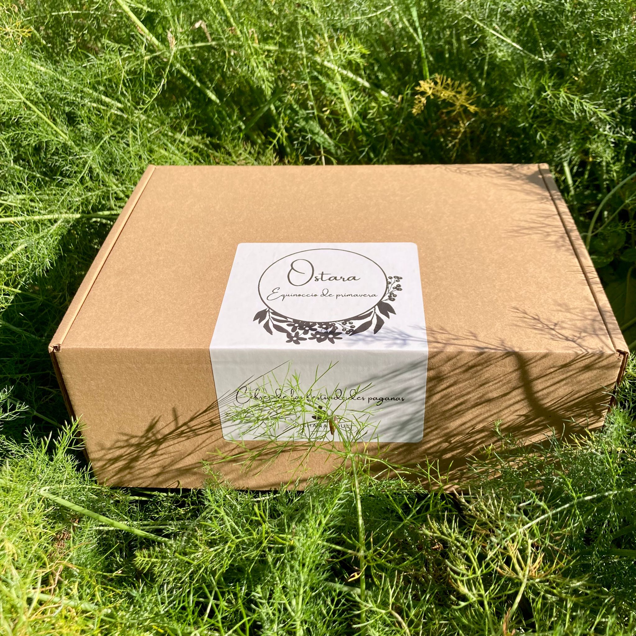 Caja Ostara - Imagen 14
