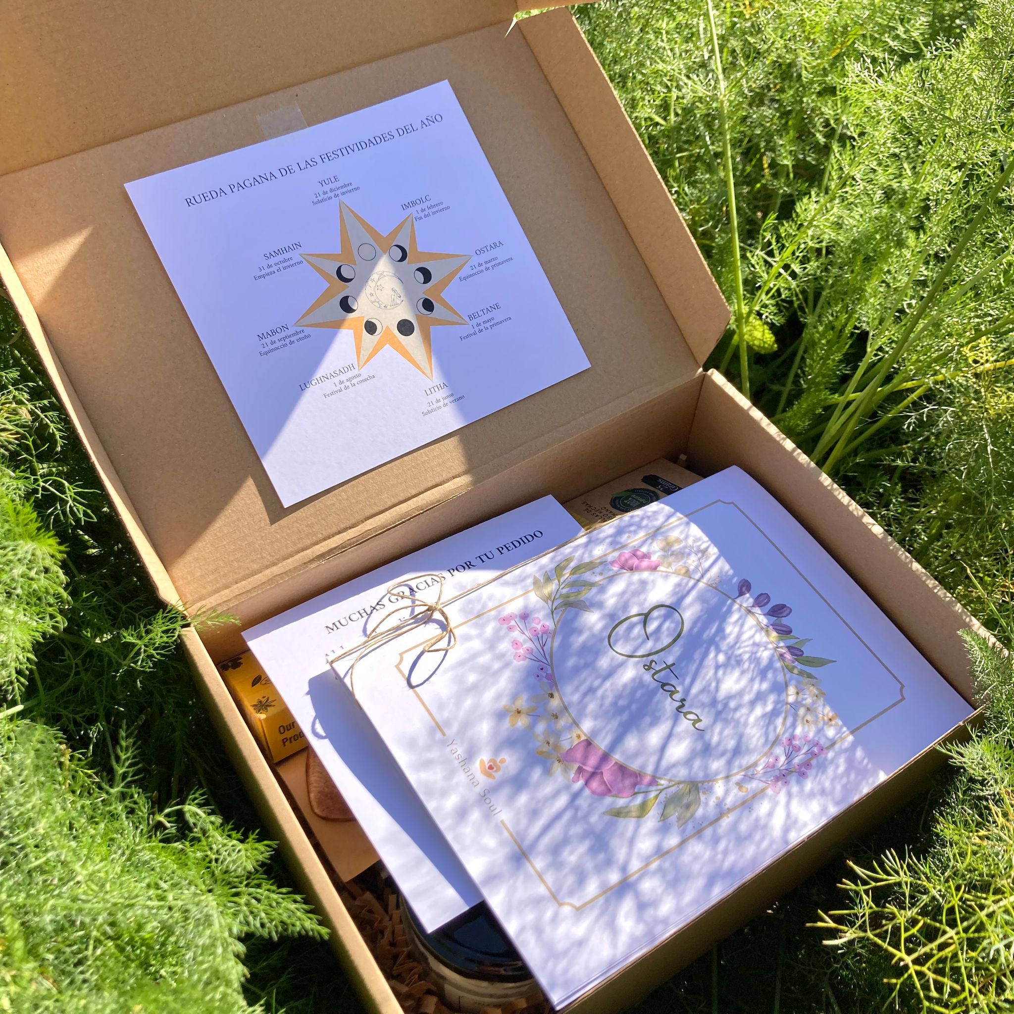Caja Ostara - Imagen 13