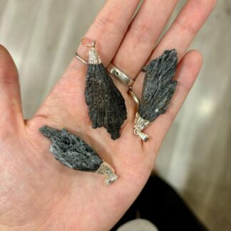 Escoba de bruja colgante (Taramita)